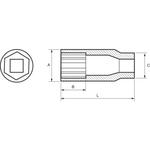 Удлиненные головки 1/4"  6P 12 MM IRIMO Арт. 103-12-1